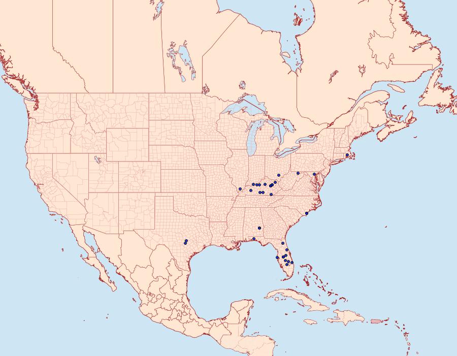 Distribution Data for Eupithecia jejunata