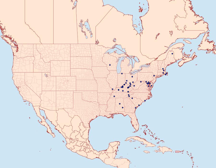 Distribution Data for Eupithecia matheri