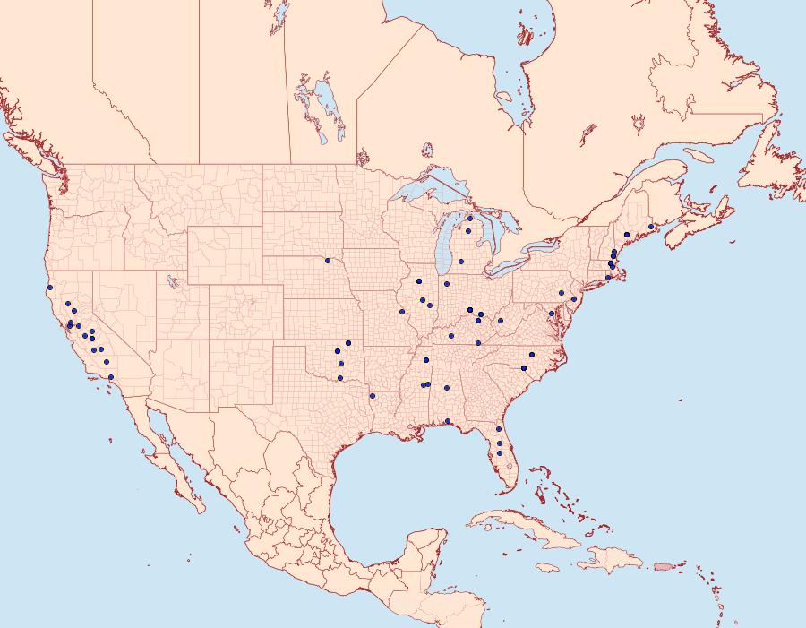 Distribution Data for Phyllonorycter fitchella