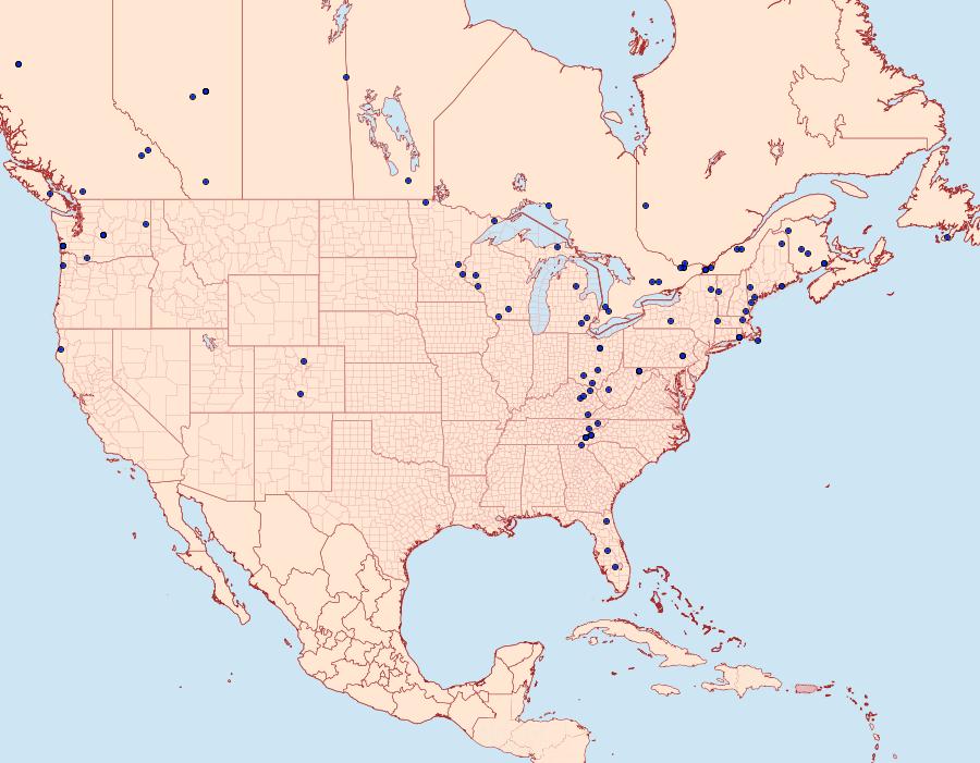 Distribution Data for Acasis viridata