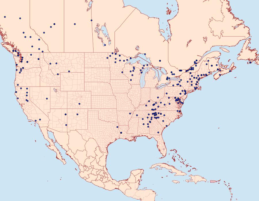 Distribution Data for Cladara limitaria