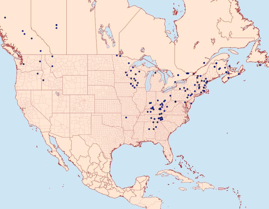 Distribution Data for Cladara atroliturata