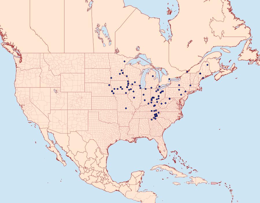 Distribution Data for Heterophleps refusaria