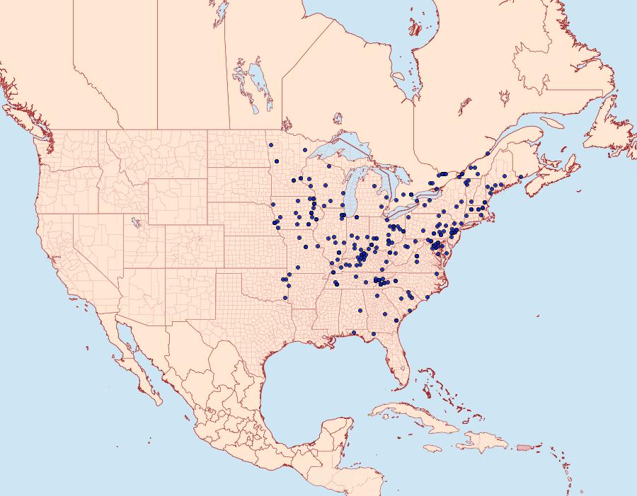 Distribution Data for Heterophleps triguttaria