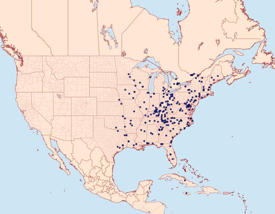 Distribution Data for Dyspteris abortivaria