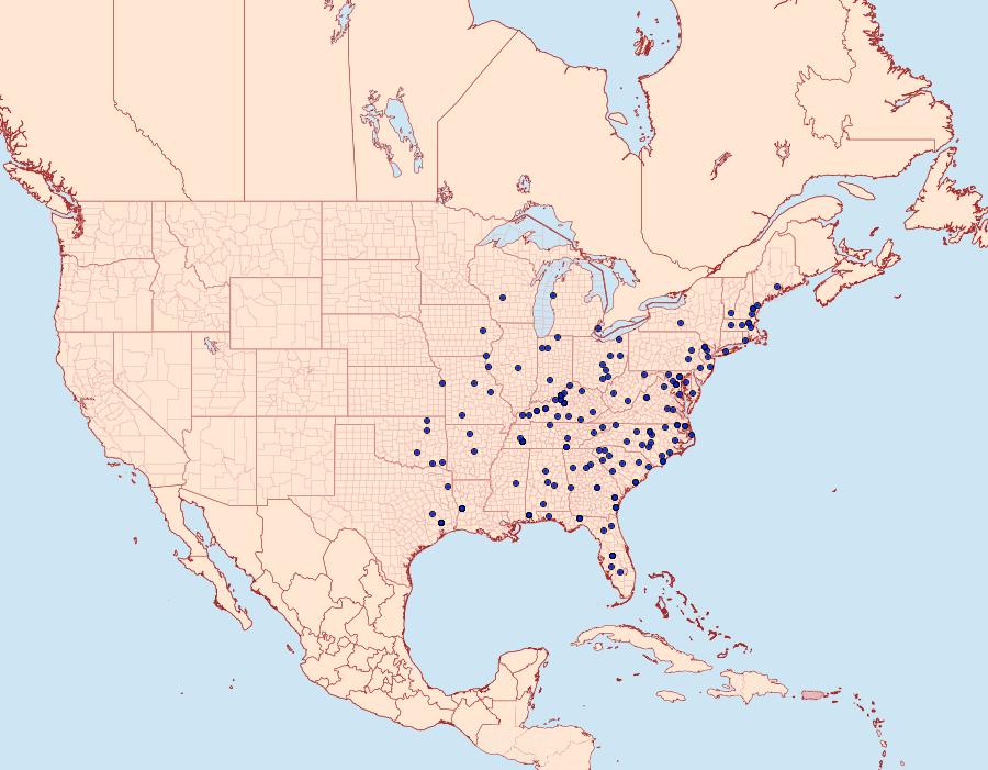 Distribution Data for Lacosoma chiridota