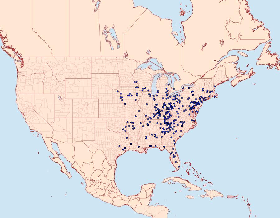 Distribution Data for Apatelodes torrefacta