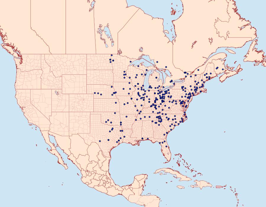 Distribution Data for Tolype velleda