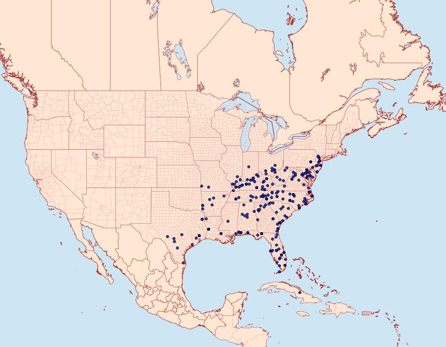 Distribution Data for Artace cribrarius