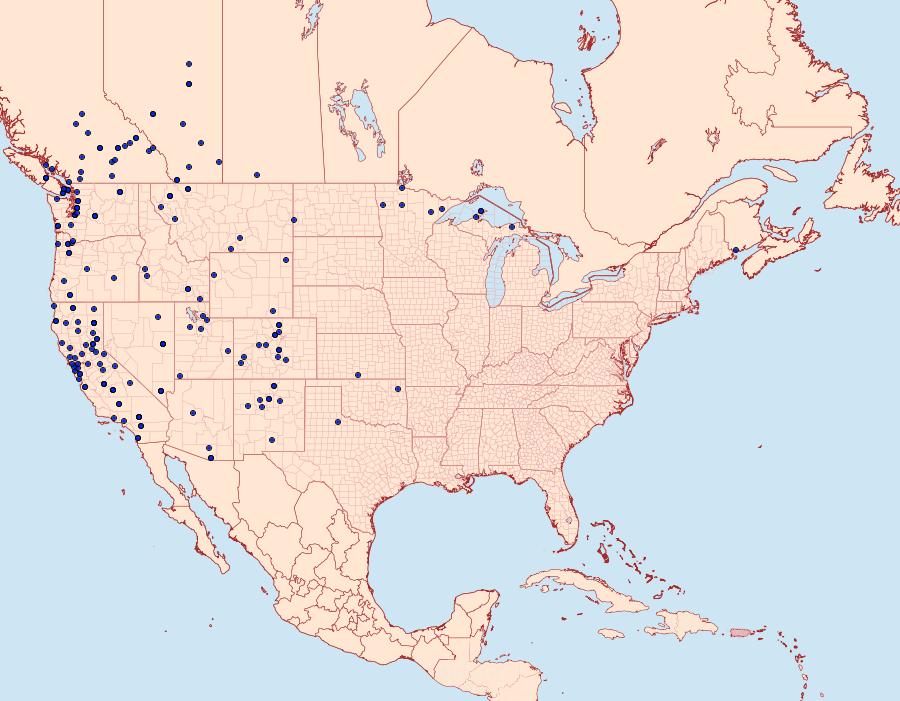 Distribution Data for Malacosoma californica