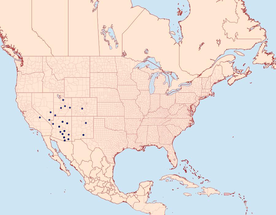 Distribution Data for Malacosoma incurva