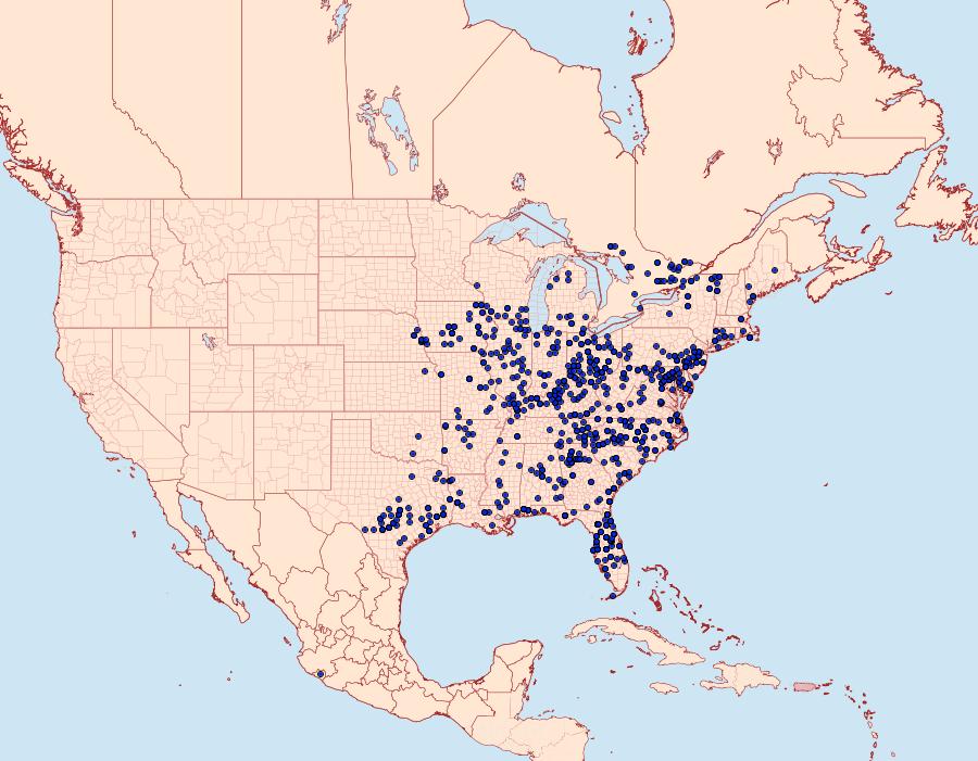 Distribution Data for Eacles imperialis