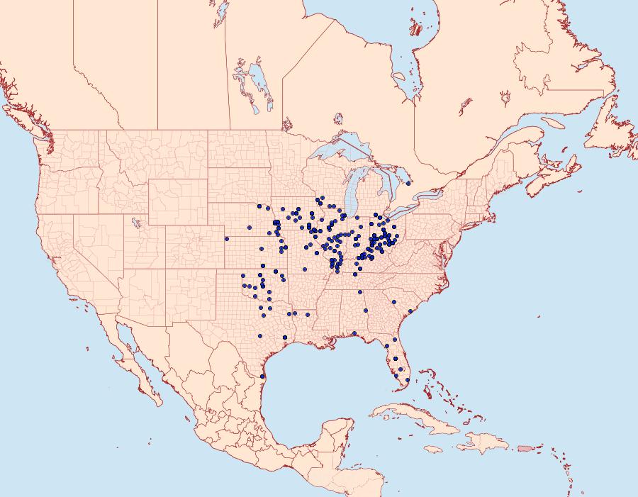 Distribution Data for Syssphinx bicolor