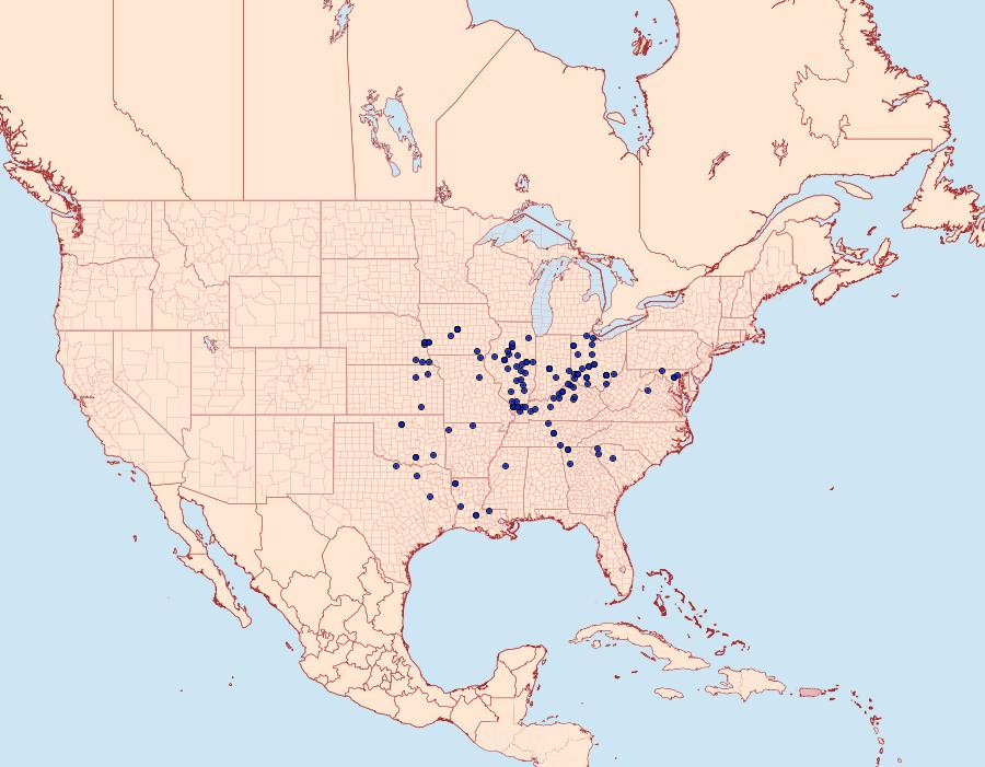 Distribution Data for Syssphinx bisecta