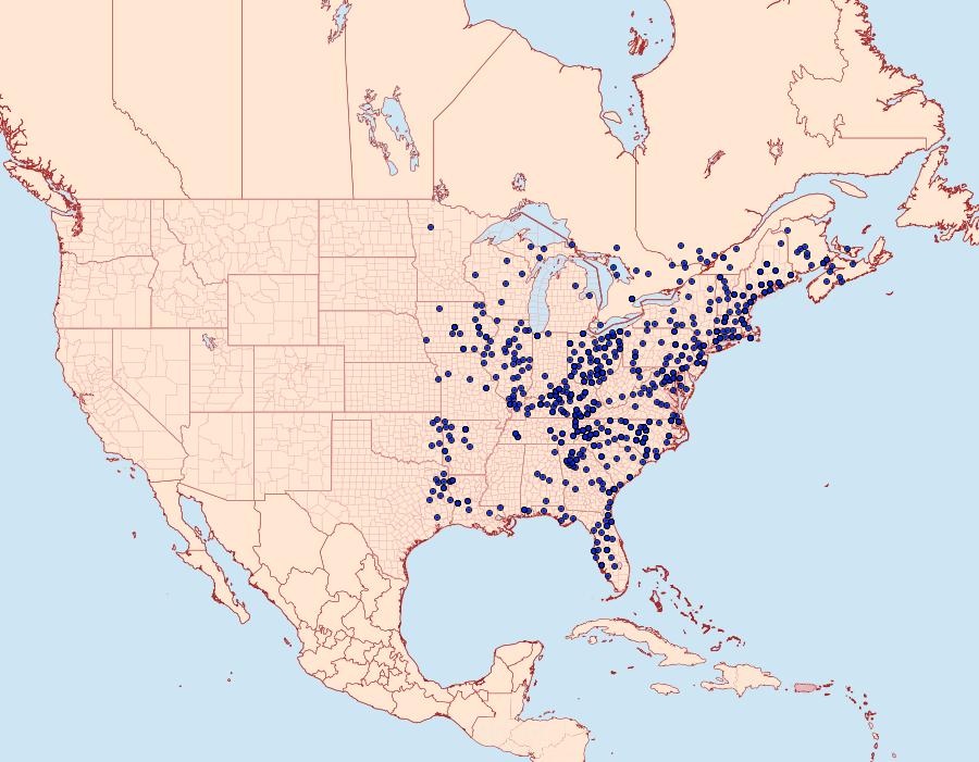 Distribution Data for Dryocampa rubicunda