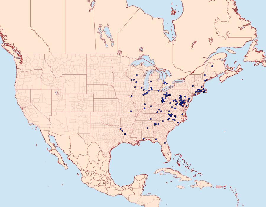 Distribution Data for Anisota senatoria