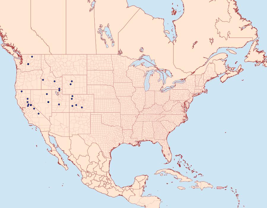 Distribution Data for Hemileuca nuttalli