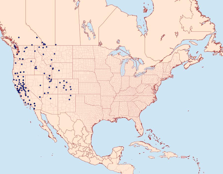 Distribution Data for Hemileuca eglanterina