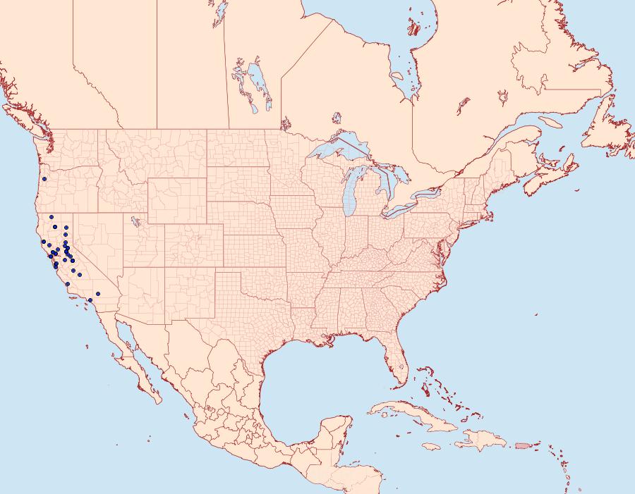 Distribution Data for Calosaturnia mendocino