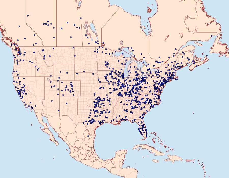 Distribution Data for Antheraea polyphemus