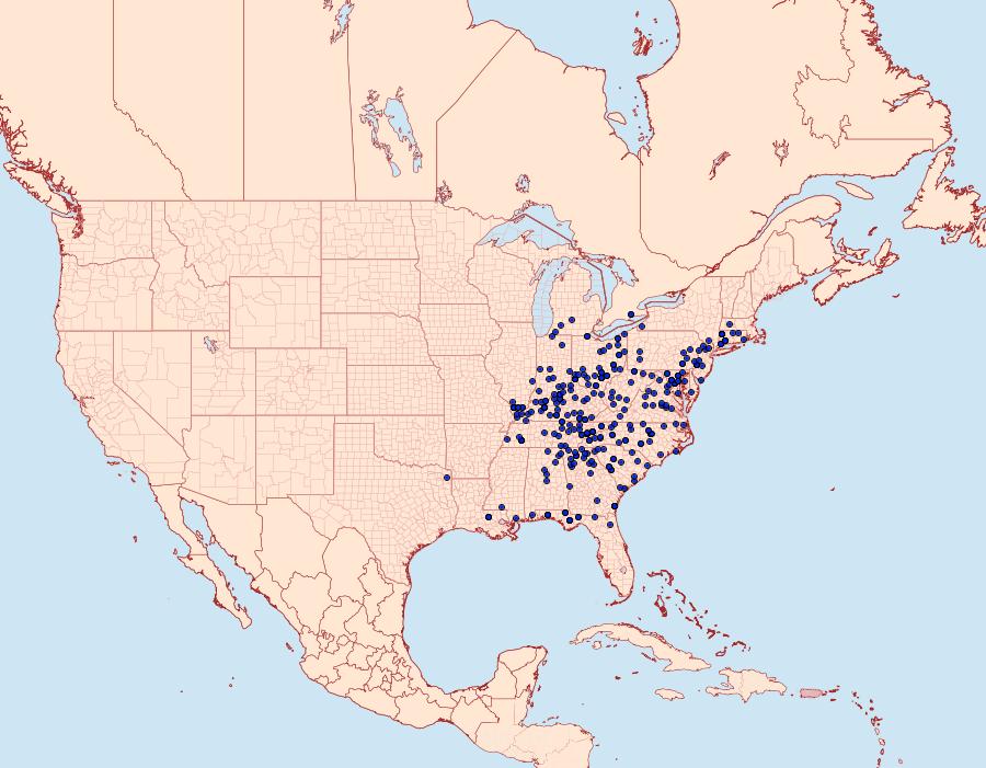 Distribution Data for Callosamia angulifera