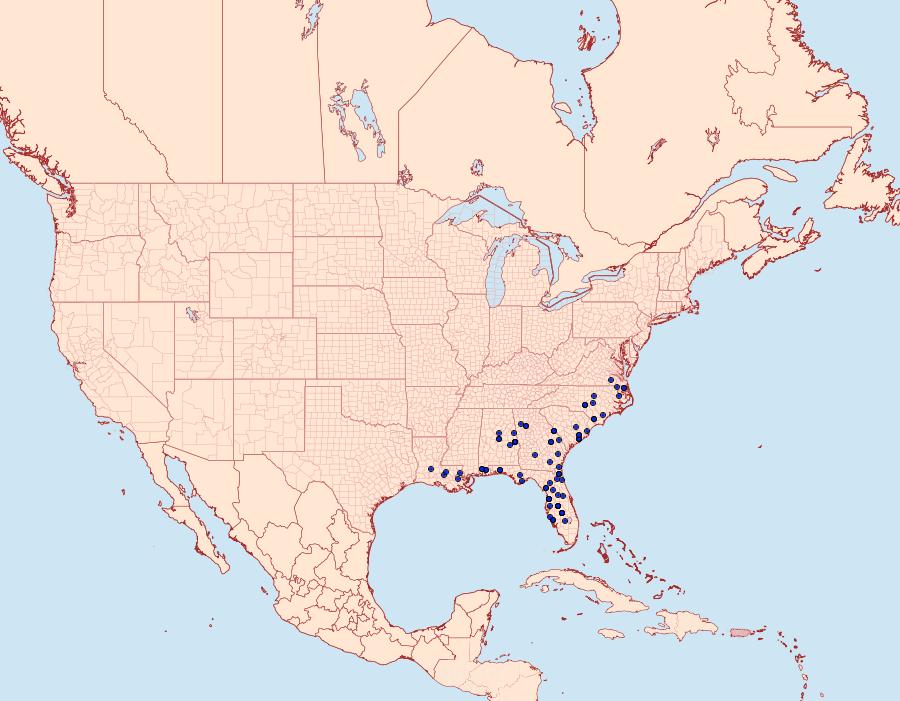 Distribution Data for Callosamia securifera