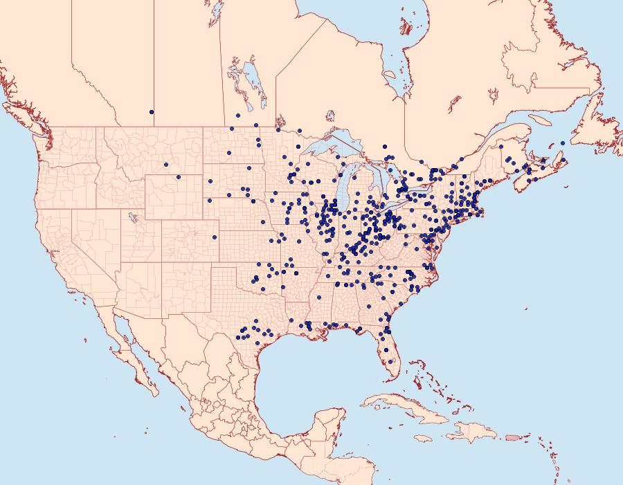 Distribution Data for Hyalophora cecropia