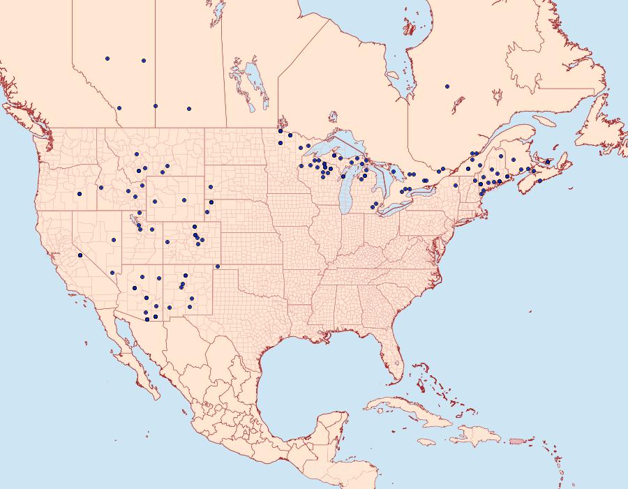 Distribution Data for Hyalophora columbia