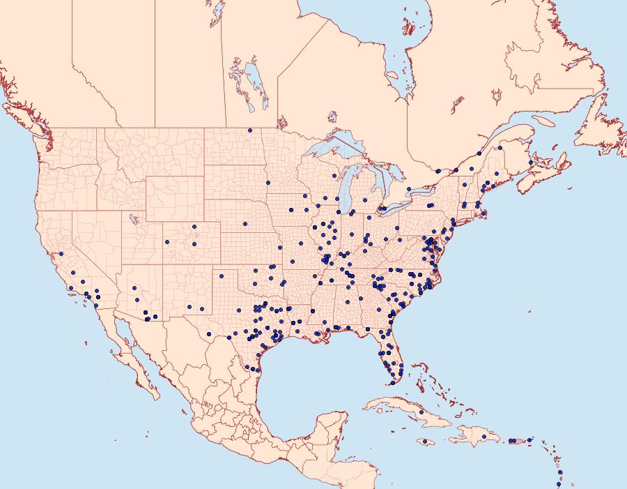 Distribution Data for Agrius cingulata