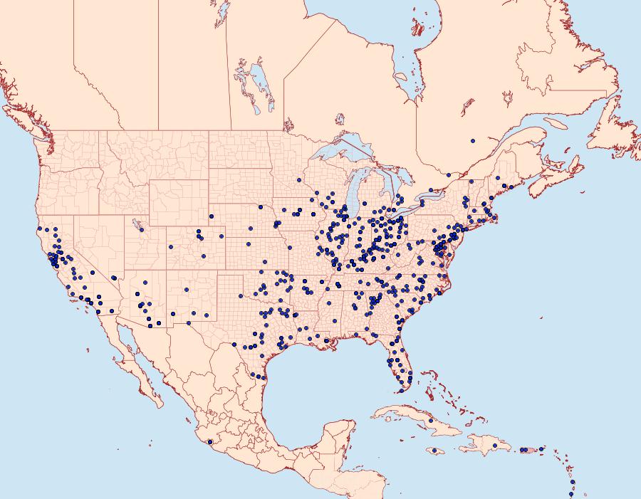 Distribution Data for Manduca sexta