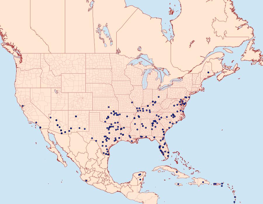 Distribution Data for Manduca rustica