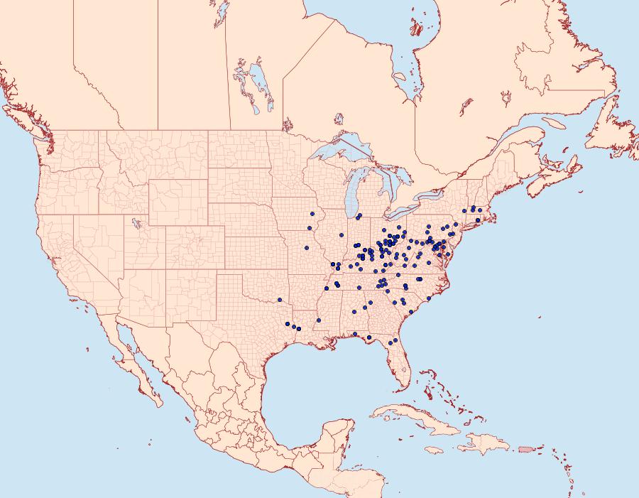 Distribution Data for Manduca jasminearum