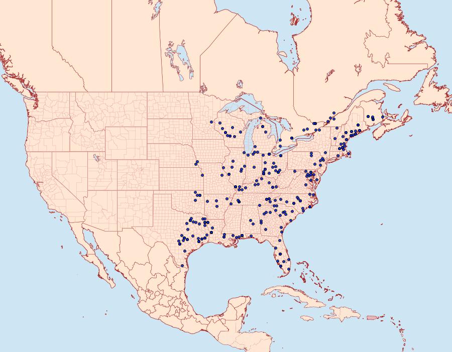 Distribution Data for Dolba hyloeus