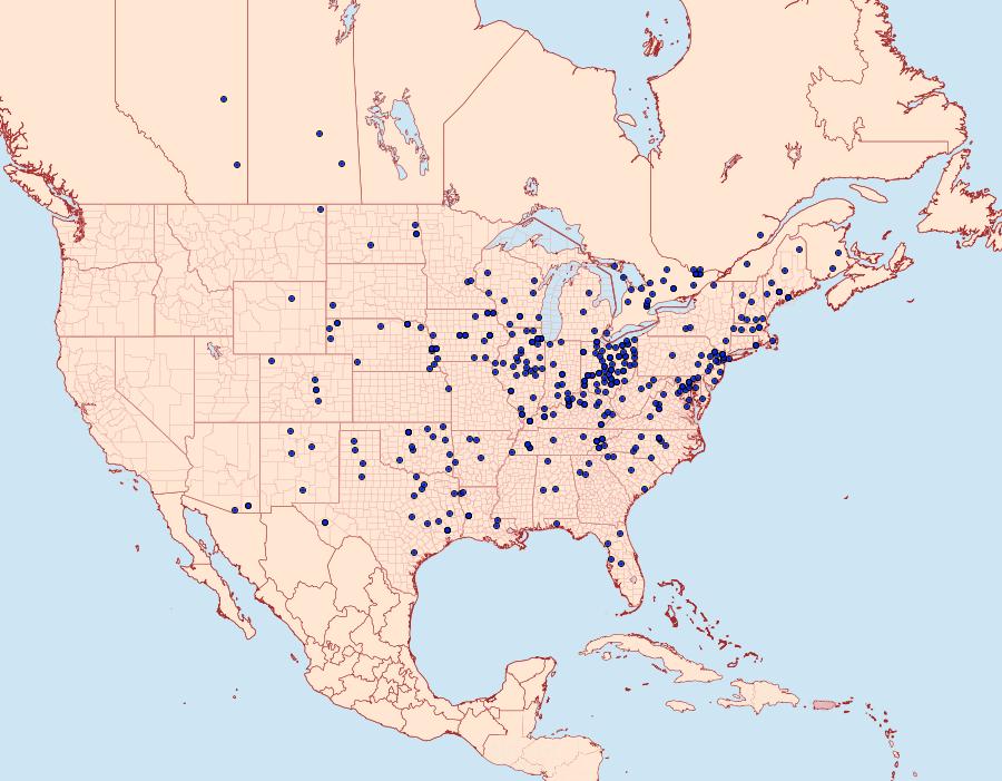 Distribution Data for Ceratomia amyntor