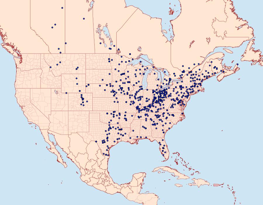 Distribution Data for Ceratomia undulosa