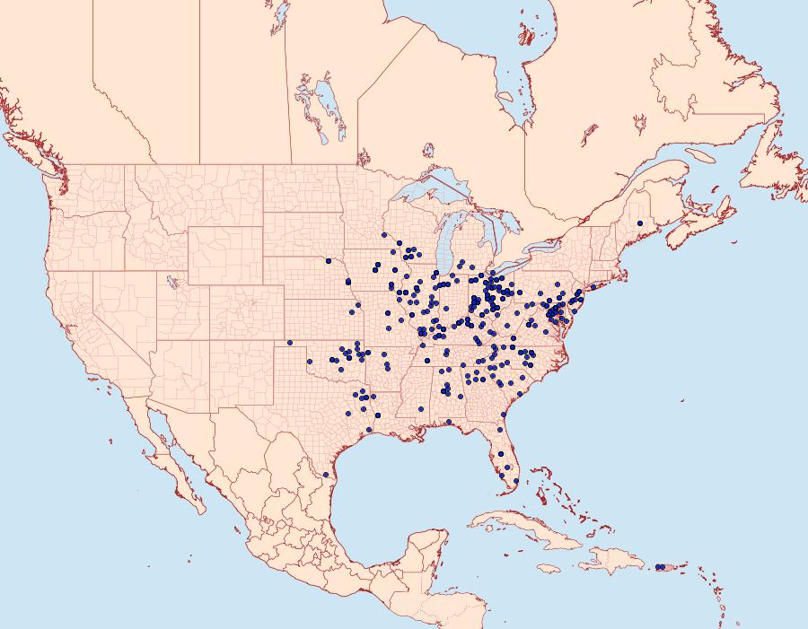 Distribution Data for Ceratomia catalpae