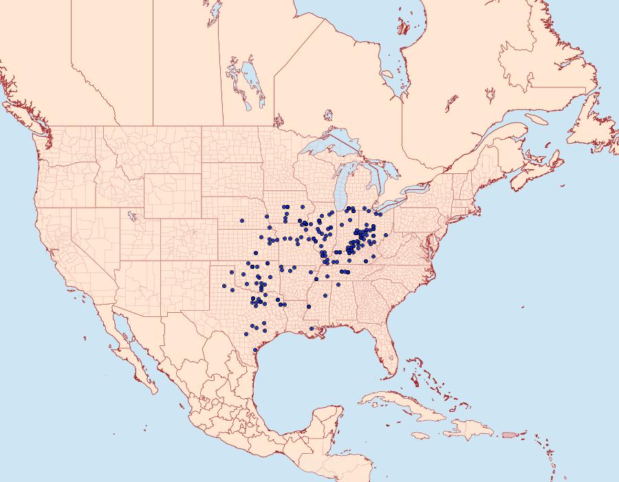 Distribution Data for Ceratomia hageni