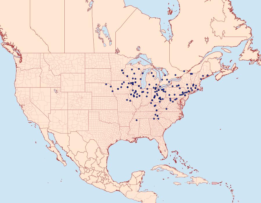 Distribution Data for Lintneria eremitus