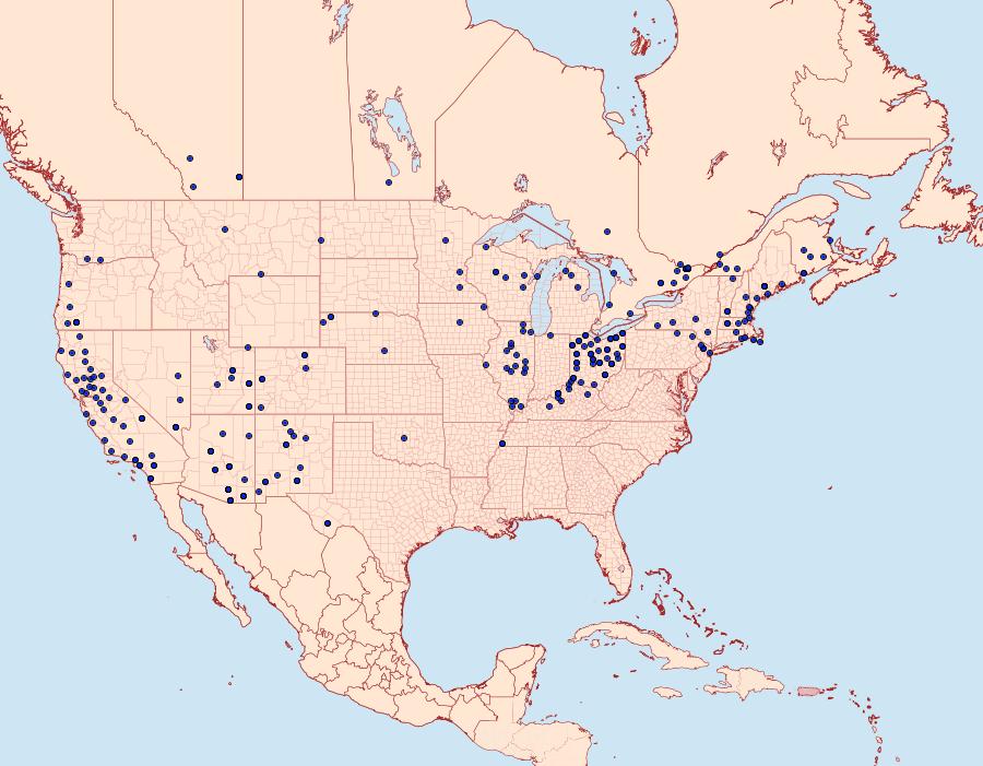 Distribution Data for Sphinx chersis