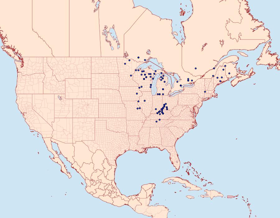 Distribution Data for Sphinx canadensis