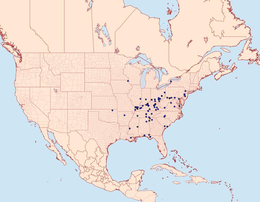 Distribution Data for Sphinx franckii