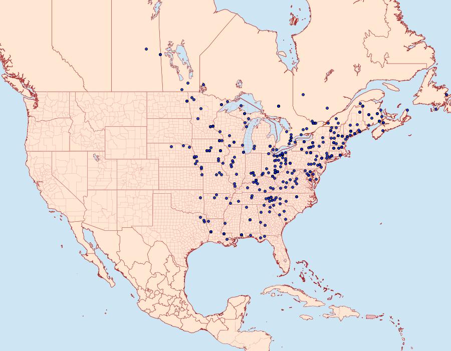 Distribution Data for Sphinx kalmiae