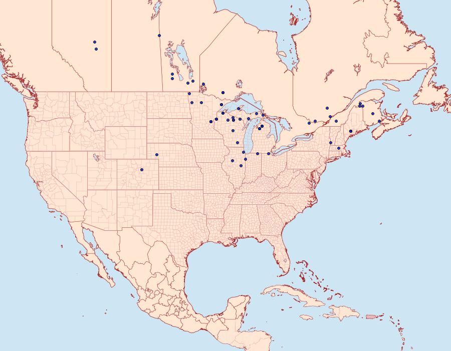 Distribution Data for Sphinx luscitiosa