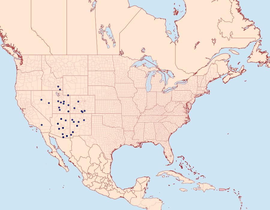 Distribution Data for Sphinx dollii