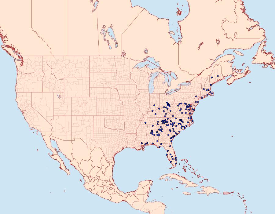 Distribution Data for Lapara coniferarum