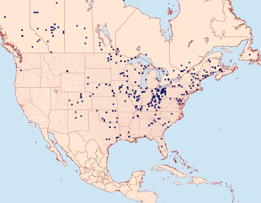 Distribution Data for Smerinthus jamaicensis