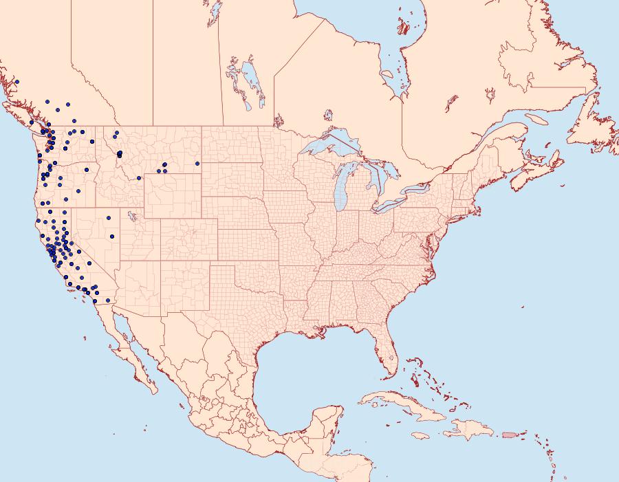 Distribution Data for Smerinthus ophthalmica