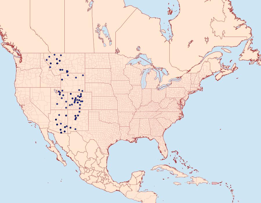 Distribution Data for Smerinthus astarte