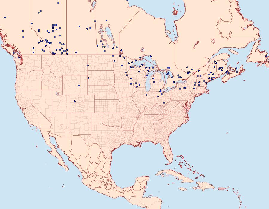 Distribution Data for Smerinthus cerisyi