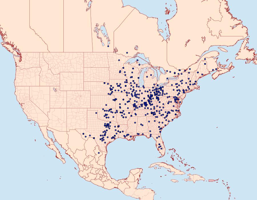 Distribution Data for Amorpha juglandis